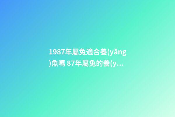 1987年屬兔適合養(yǎng)魚嗎 87年屬兔的養(yǎng)金魚的風(fēng)水-第1張-觀點(diǎn)-玄機(jī)派